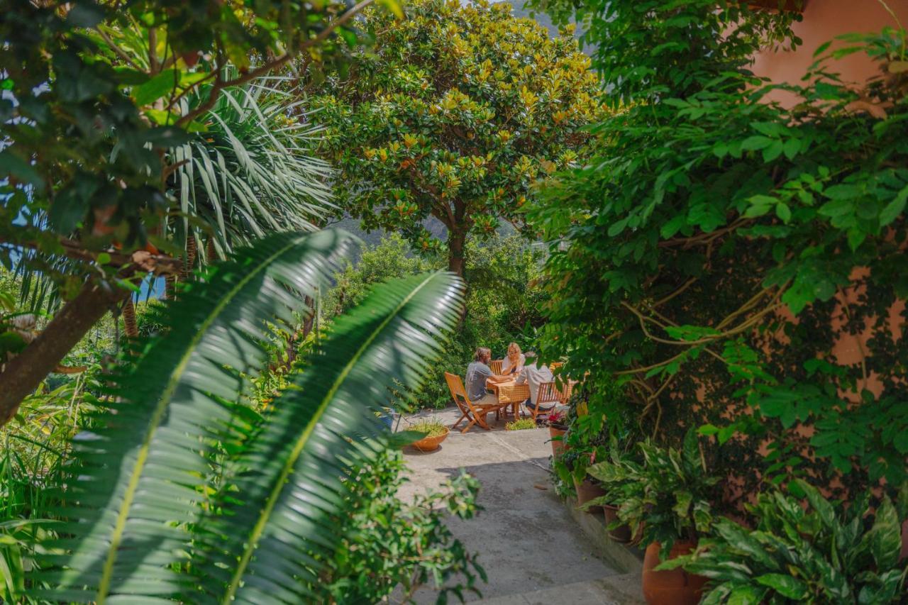 São Vicente Madeira Surf Lodge מראה חיצוני תמונה