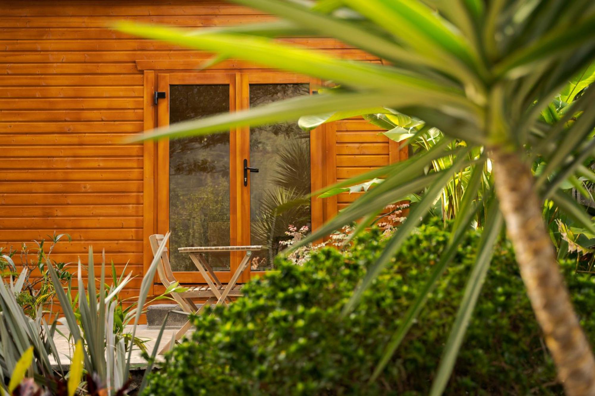 São Vicente Madeira Surf Lodge מראה חיצוני תמונה