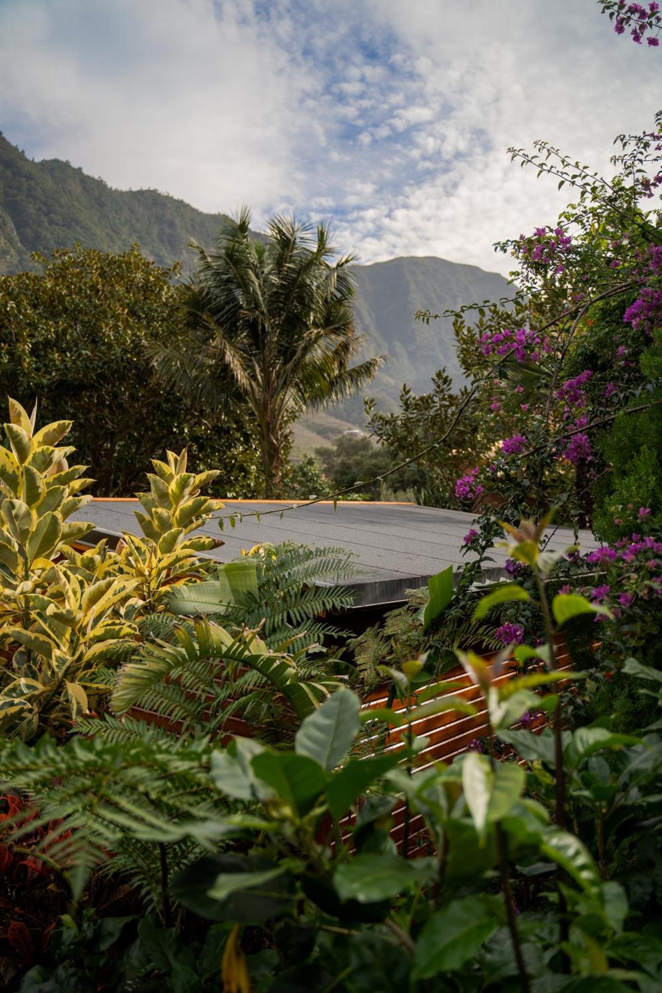 São Vicente Madeira Surf Lodge מראה חיצוני תמונה